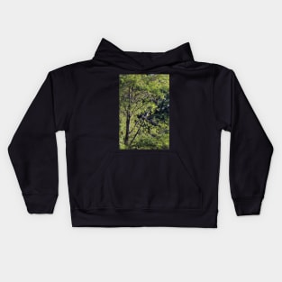 Great Blue Heron in the trees by Trojan pond, near Goble, Oregon Kids Hoodie